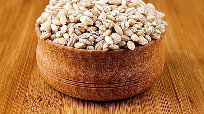 How Did Barley Become One of Humanity’s First Staple Crops?
