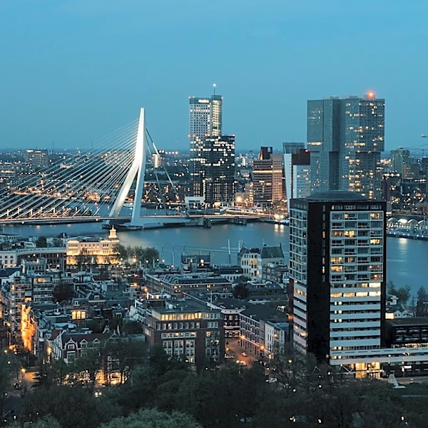 Why Was Amsterdam Built on Thousands of Wooden Piles?