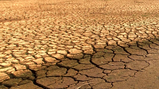 On This Day: Los Angeles Hit a Record 121 Degrees During the 2020 Heat Wave