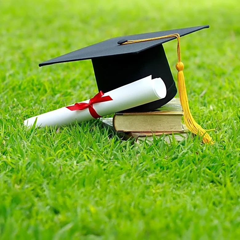 Why Do Colleges Prioritize Academic Programs
