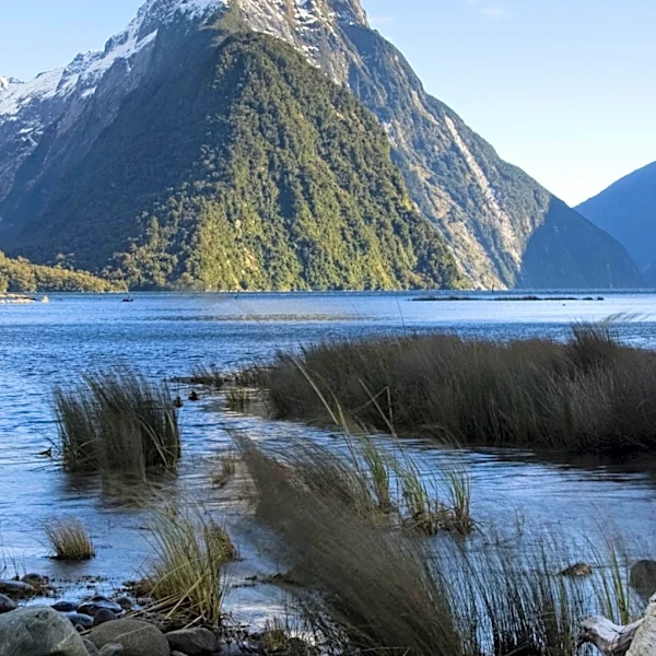 What are the Tsunami Risks Faced by Milford Sound