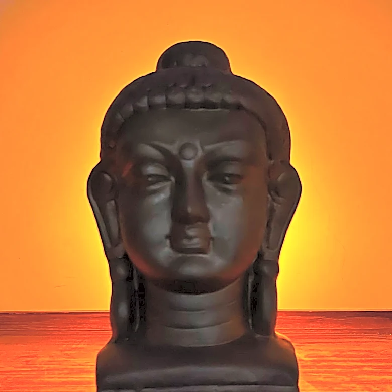 The Basics of Dhyana Mudra Explored