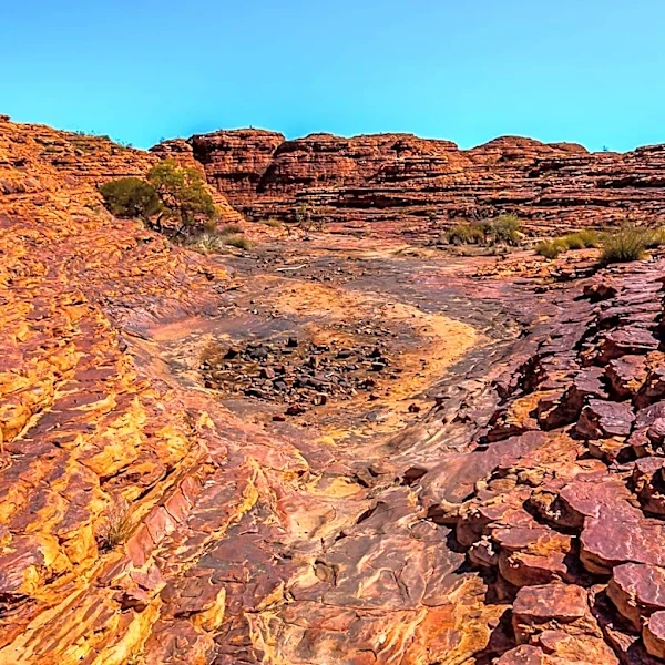 White Rim Road Offers One of Canyonlands’ Most Famous Backcountry Adventures