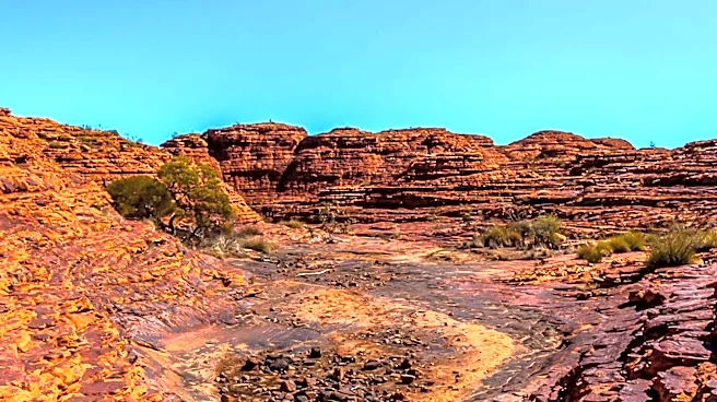 White Rim Road Offers One of Canyonlands’ Most Famous Backcountry Adventures