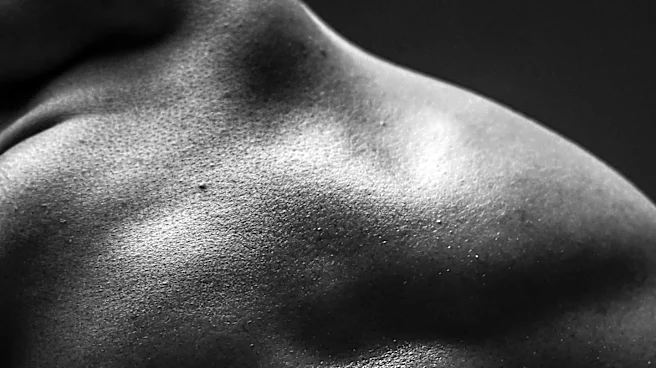 Why Your Erector Spinae Are Essential for Everyday Movement