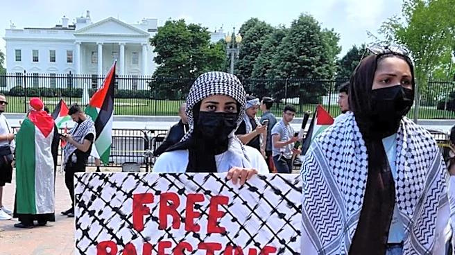 How Did a Traditional Scarf Become a Global Political Symbol?
