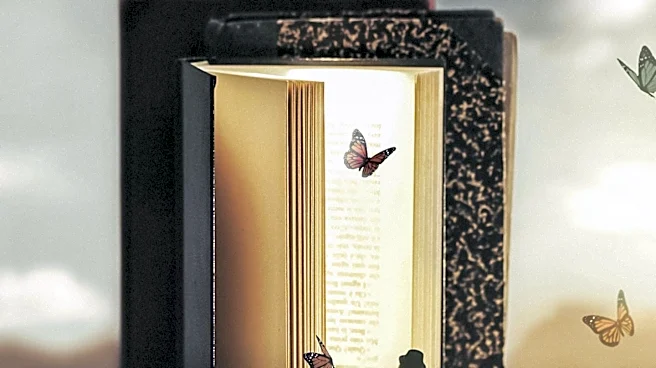 What Makes a First-Person Narrator Unreliable?