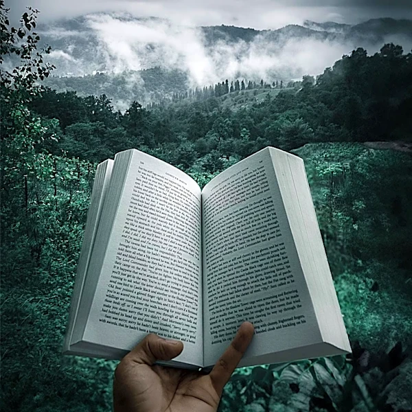 What Is Third-Person Omniscient Narration?