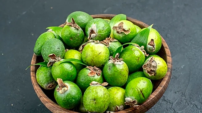 The Feijoada Origin Myth Analyzed
