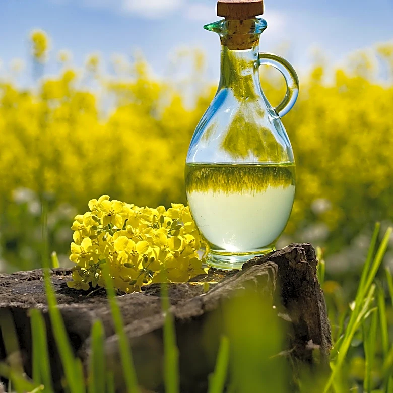 How Did Science Transform Rapeseed to Canola