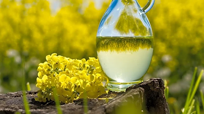 How Did Science Transform Rapeseed to Canola