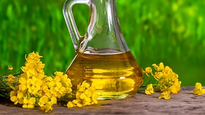 How Canadian Breeding Created the Canola Oil We Know Today