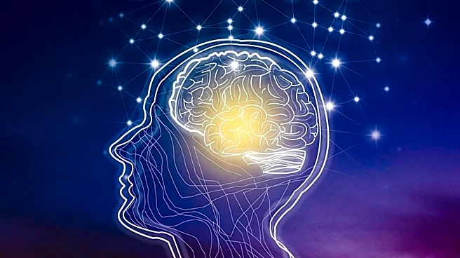 How Dopamine Helps Your Brain Learn What Matters