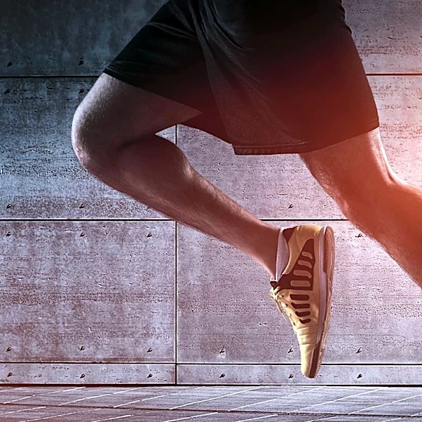 How does the Rectus Femoris Move the Leg
