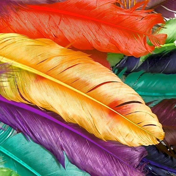 Why Do Some Clothes Keep Their Color Longer Than Others?