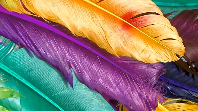 Why Do Some Clothes Keep Their Color Longer Than Others?