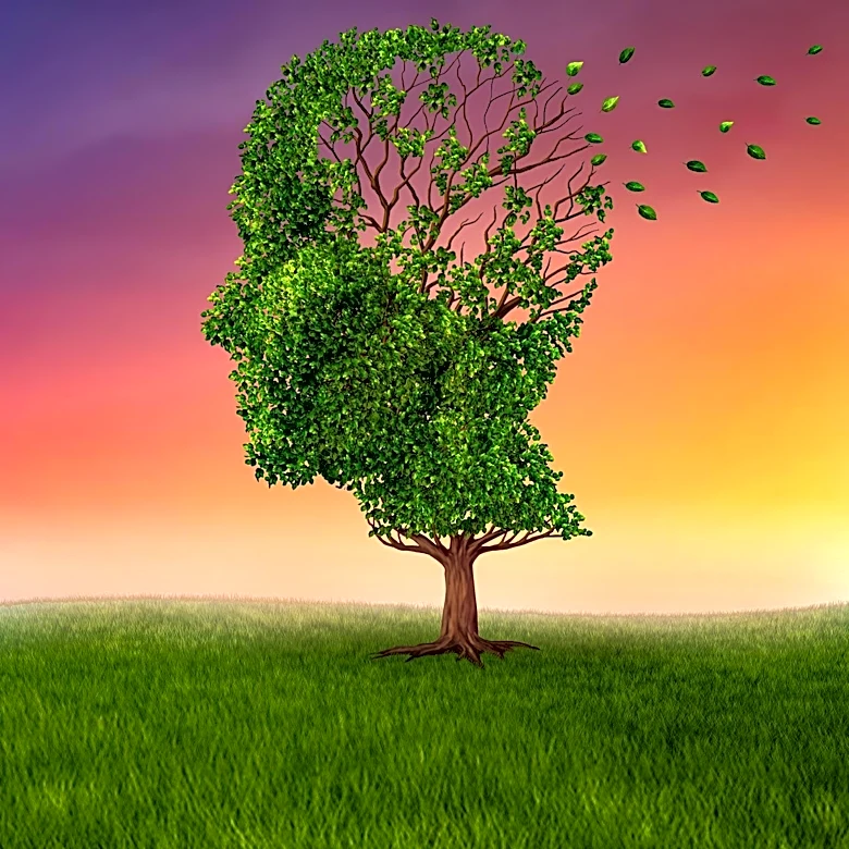 How does Egocentric Bias Shape Reality