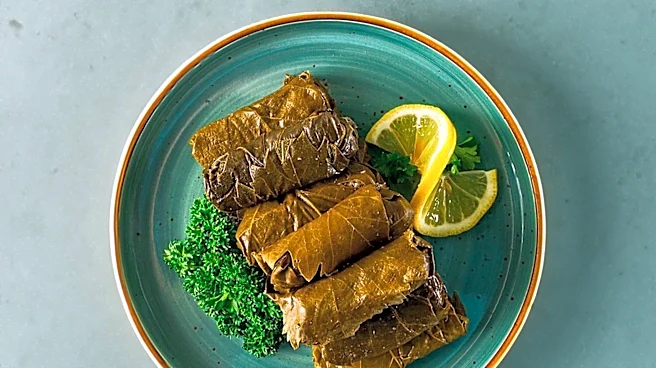 The Diverse World of Dolma Dishes Explored