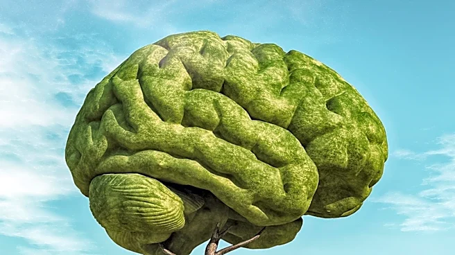 Why Is This Tiny Brain Region So Important for Survival?