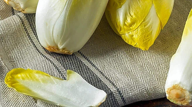 Where Did Tuna Salad Actually Come From?