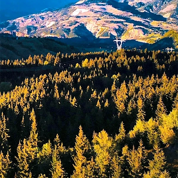 Why Idaho Is Called the Gem State, Not Just the Potato State