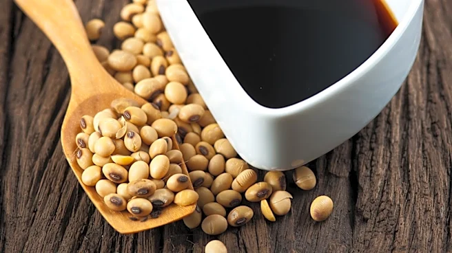 How Did Soy Sauce Evolve From Fermented Fish?