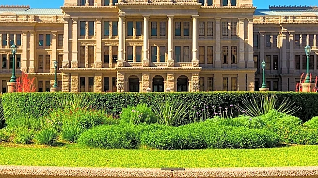 Why Texas Chose the Blue Lacy as Its Official State Dog