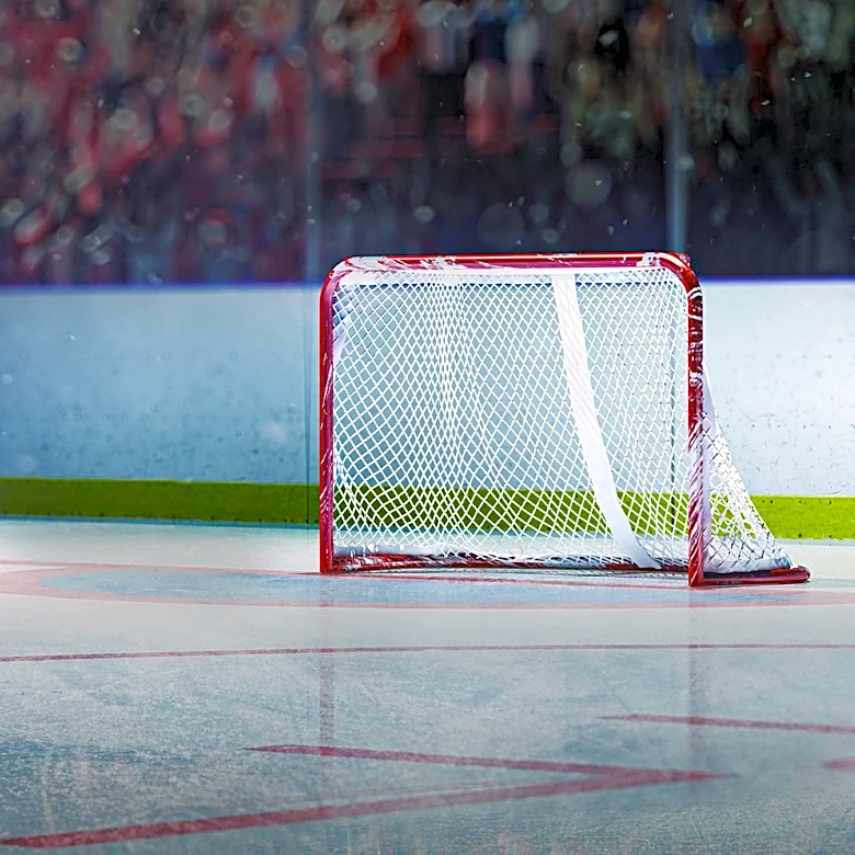 Why the Minnesota North Stars Became the Dallas Stars in 1993