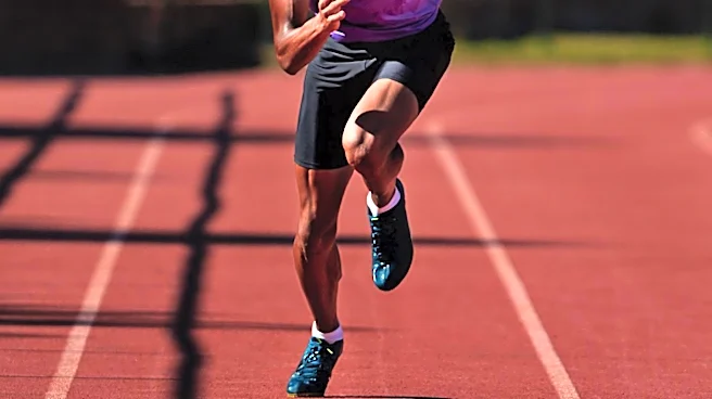 The Olympic Gold Medalist Who Became a Miami Dolphins Receiver
