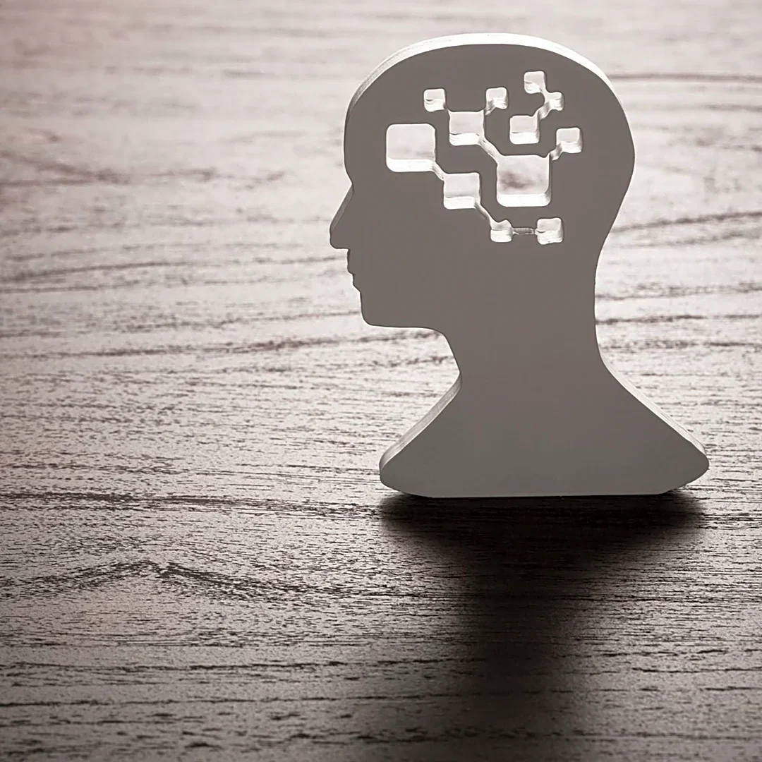 Why Trying to Eliminate Every Risk Can Make You Less Safe