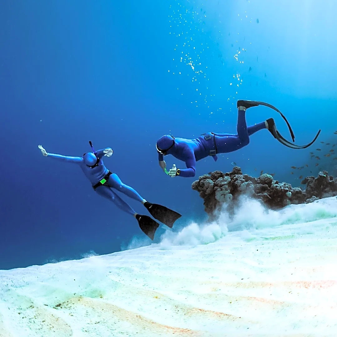 Wetsuit or Dry Suit: Which One Works Better in Freezing Water?