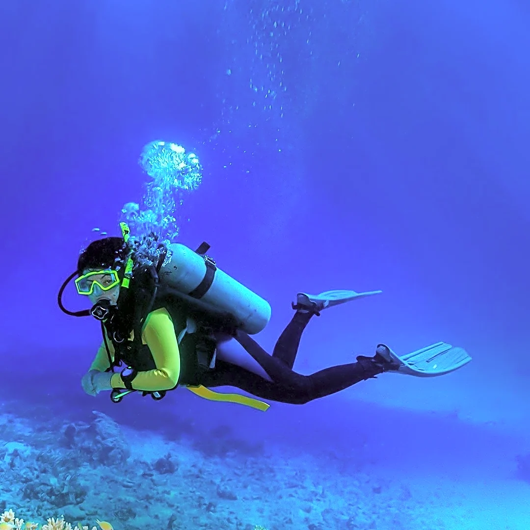 How a Simple Fabric Layer Made Wetsuits Stronger and More Comfortable