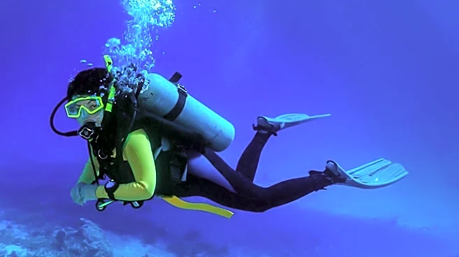 How a Simple Fabric Layer Made Wetsuits Stronger and More Comfortable