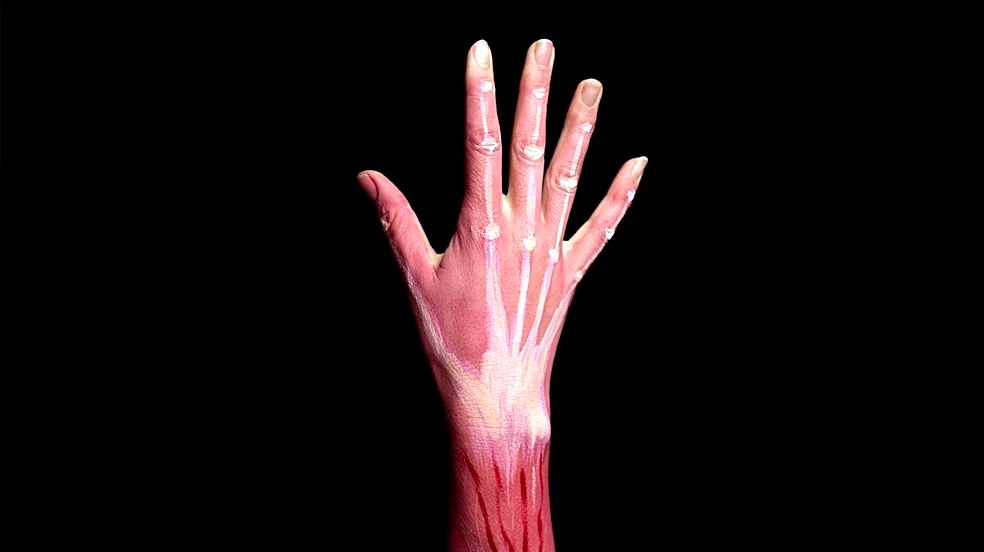 How Your Brain Controls the Tiny Muscles That Move Your Pinky