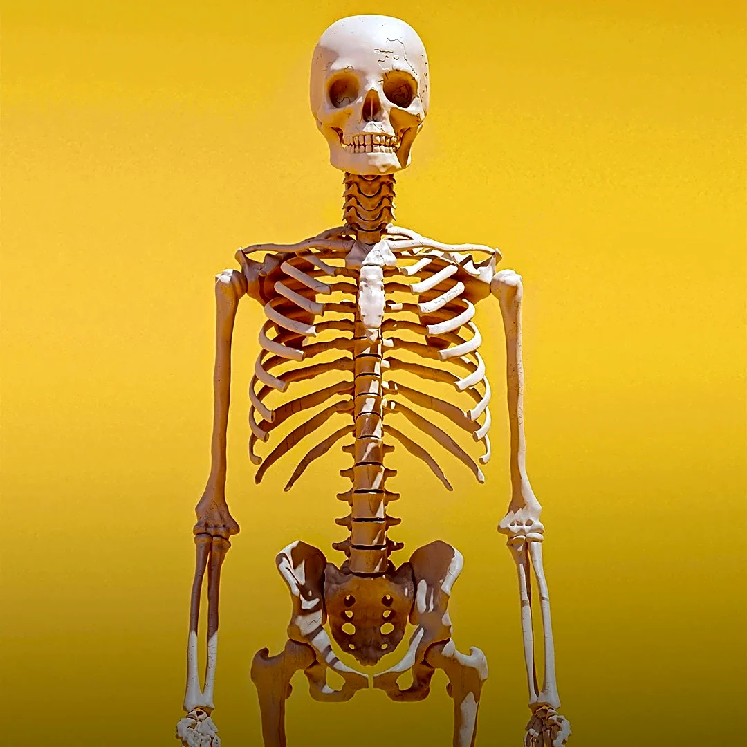 The Hidden Connection Between Your Ribs and Your Spine