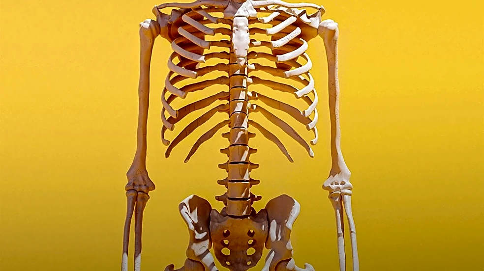 The Hidden Connection Between Your Ribs and Your Spine