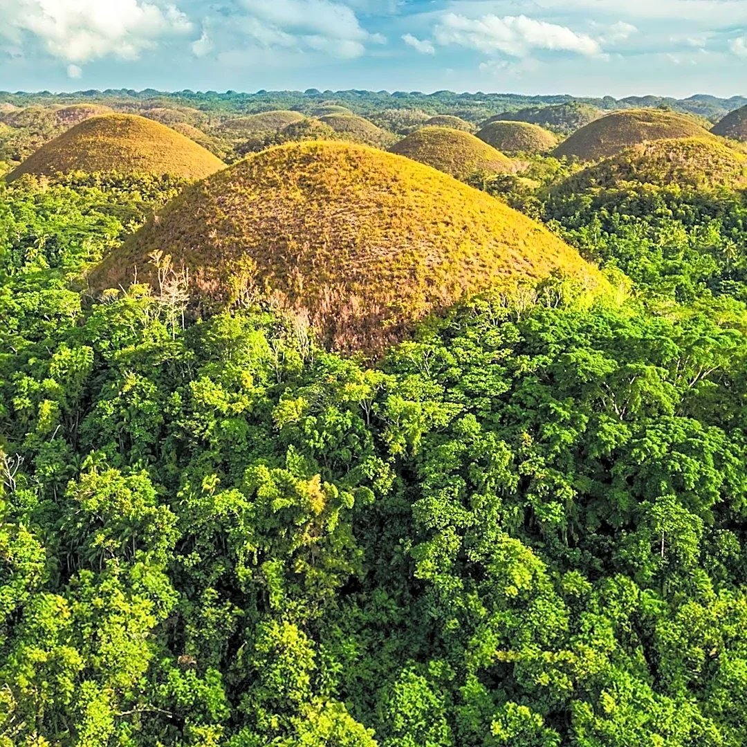 American Troops Cleared 53 Pillboxes and 17 Caves on Catmon Hill