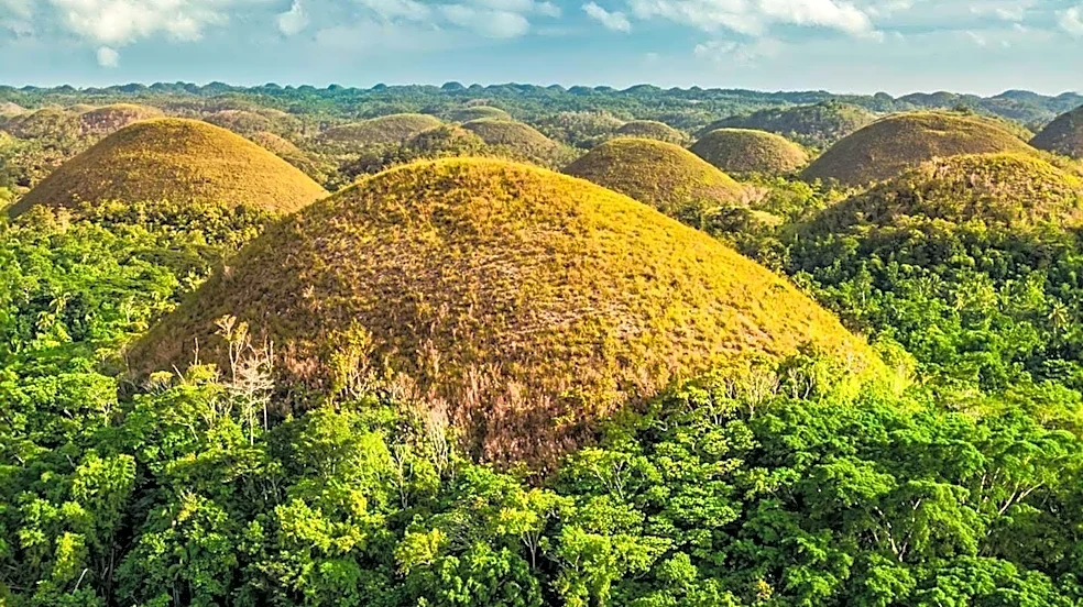 American Troops Cleared 53 Pillboxes and 17 Caves on Catmon Hill