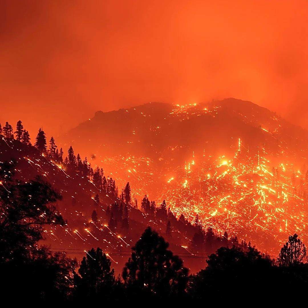 How the 1991 Oakland Firestorm Spread Across 1,520 Acres
