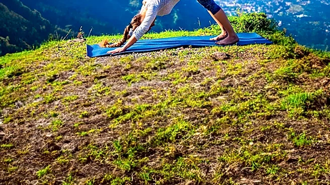 Why Downward Dog Is One of the Most Popular Yoga Poses