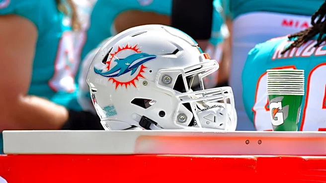 Dolphins coach details most Chris Johnson's most impressive trait