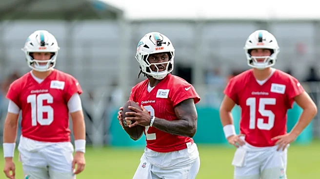 34 players who are locks to make the Dolphins 53-man roster
