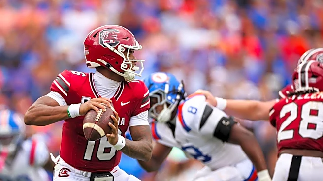 Chicago Bears NFL Draft needs: backup quarterback