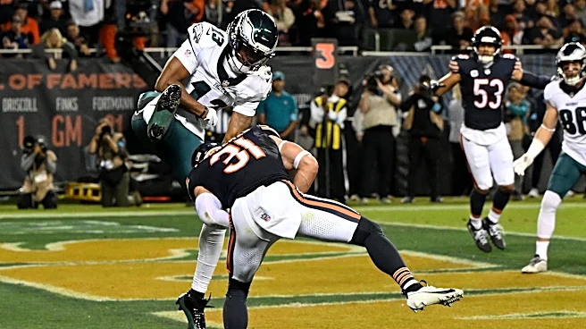 Chicago Bears S Dillon Thieneman snags first NFL interception