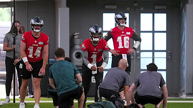 Andy Dalton is refusing to concede Eagles backup job to Tanner McKee