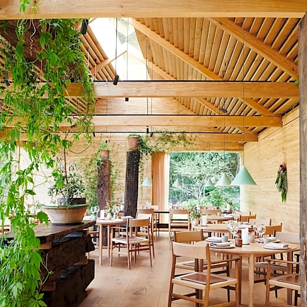 After Its Embattled Los Angeles Residency, Noma to Reopen in Copenhagen