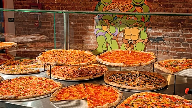 A ‘Teenage Mutant Ninja Turtles’ Pizzeria Skates Into Santa Monica With $54 Pies
