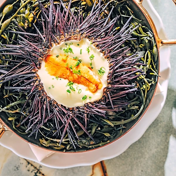 The 38 Best Restaurants in San Diego