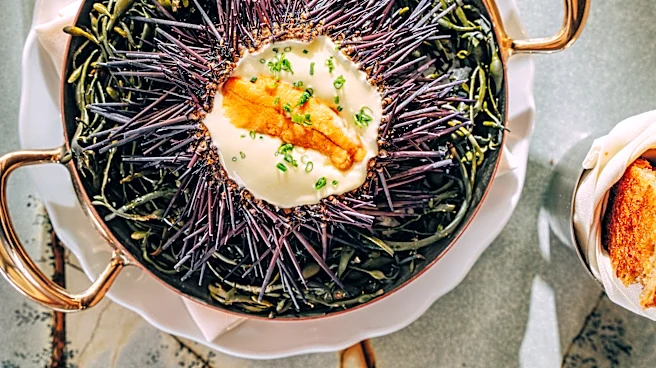 The 38 Best Restaurants in San Diego