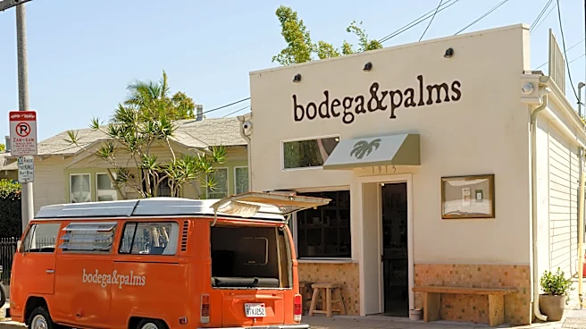 A Historic Venice Corner Store Takes on a New Life as Bodega and Palms